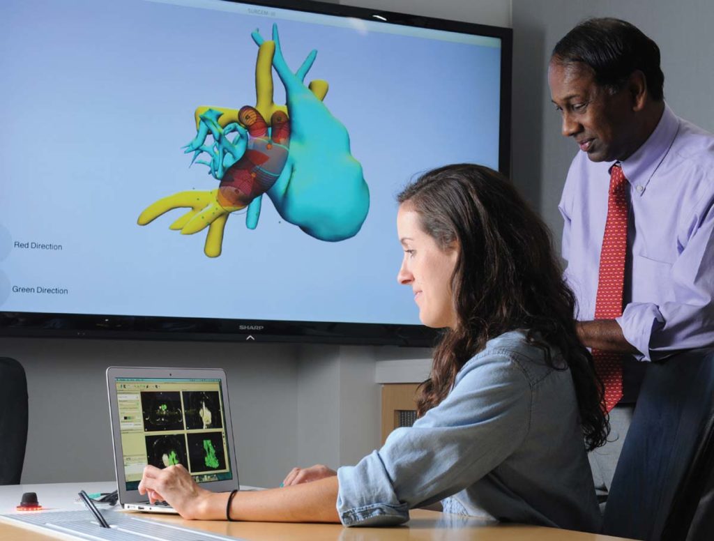 Dr Y and a research student review a digital 3-D model of a heart