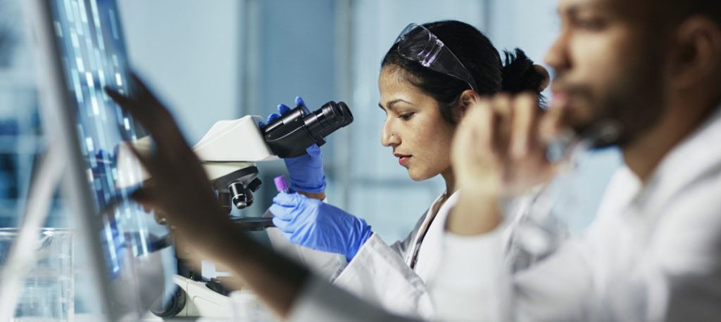 lab technicians look into microscopes