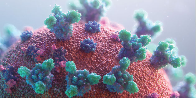 coronavirus molecules