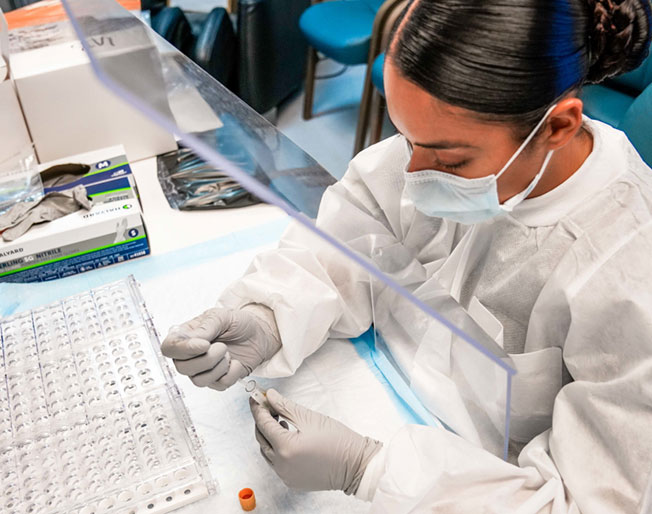 lab technician pipes liquid into vials