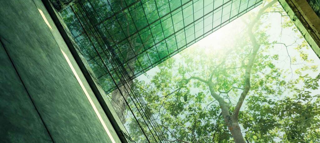 view of tree canopy from glass-paned building